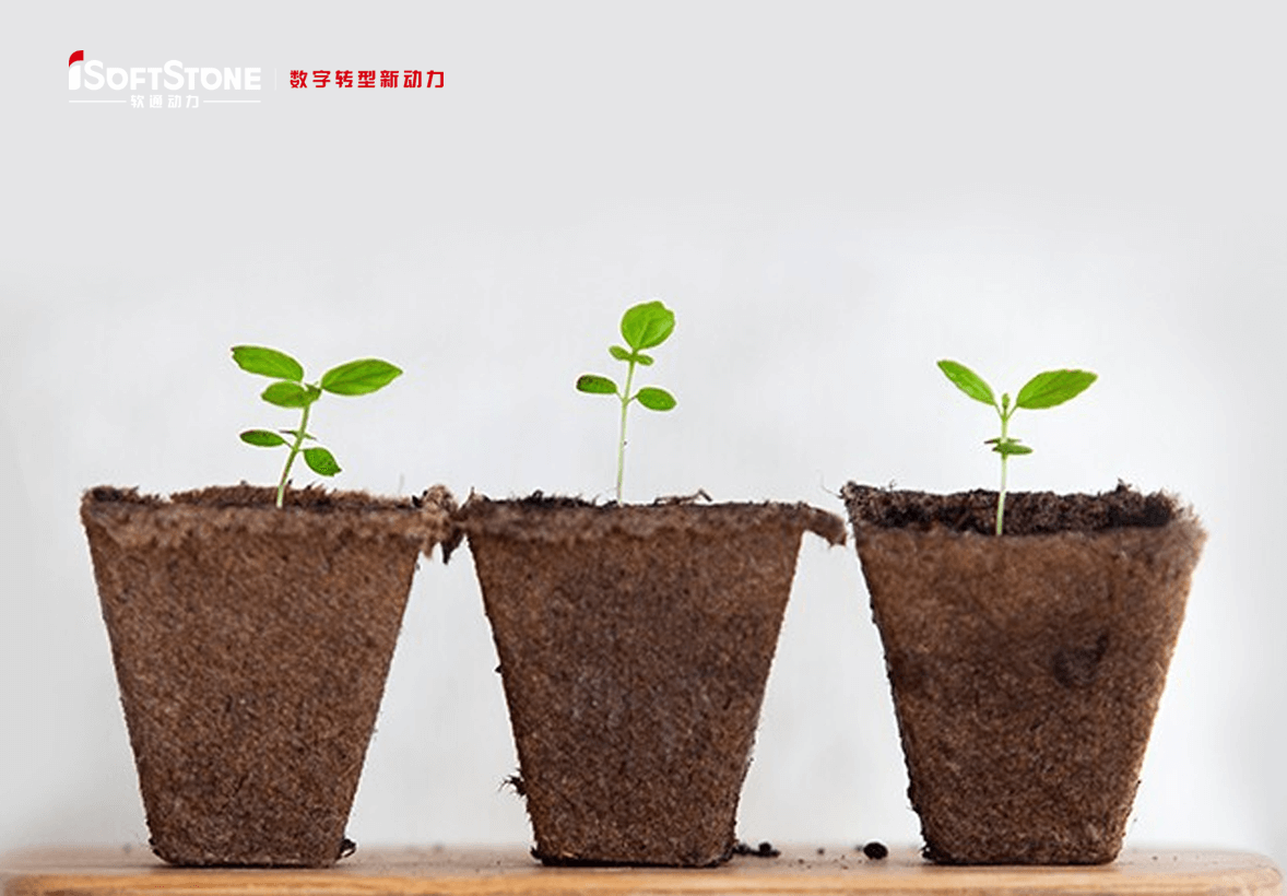 学術的継続可能の革命精神で地方の子供たちに愛を渡す——iSoftStoneは再び公共福祉教育を支援する。。。。。。。